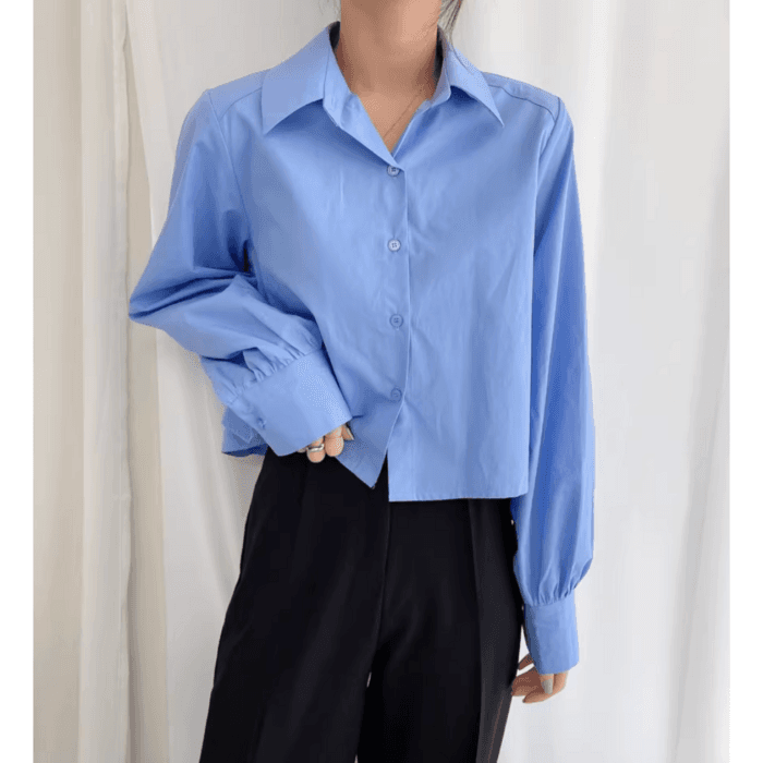 骨格ストレートバックプリーツシャツトップス