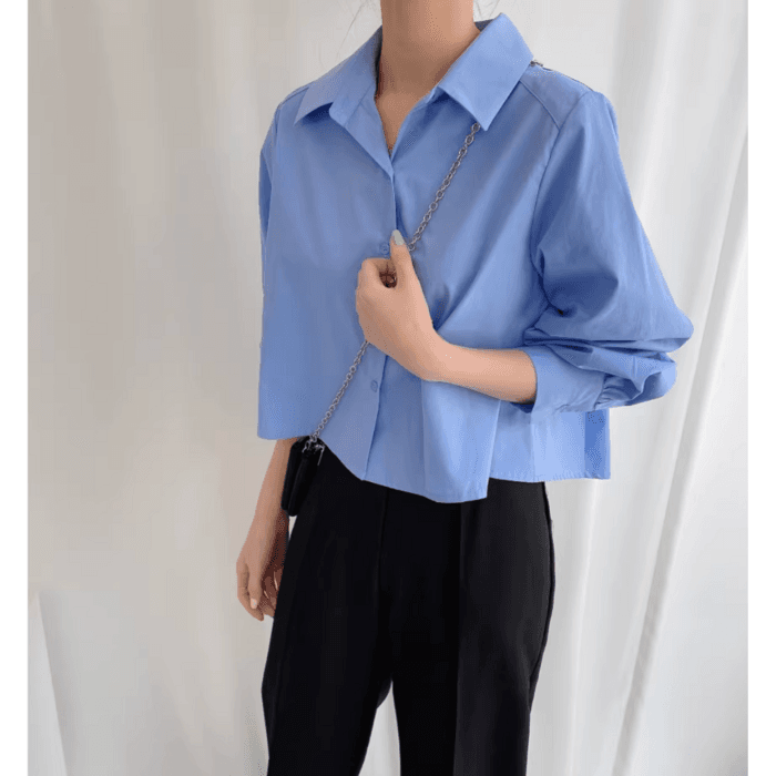 骨格ストレートバックプリーツシャツトップス