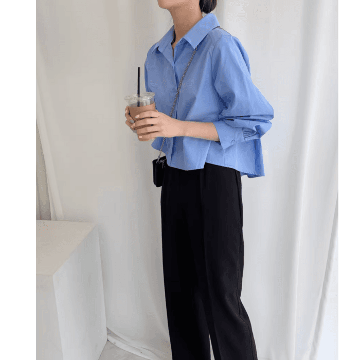 骨格ストレートバックプリーツシャツトップス
