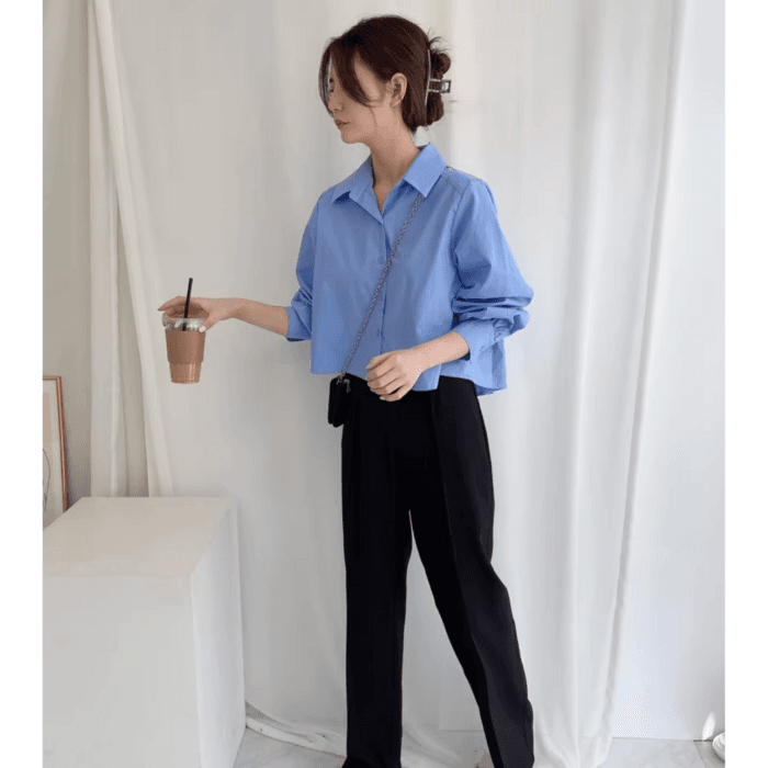 骨格ストレートバックプリーツシャツトップス